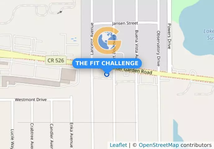 THE FIT CHALLENGE