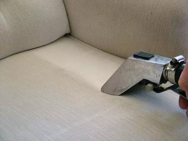 6.95 Carpet Cleaner
