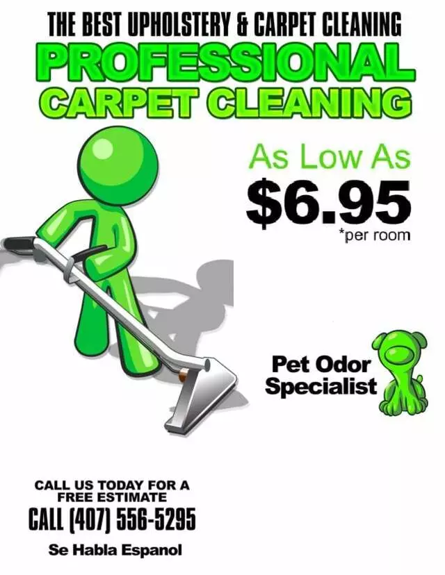 6.95 Carpet Cleaner