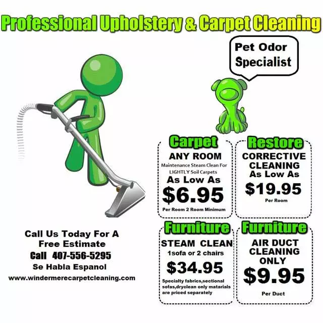 6.95 Carpet Cleaner