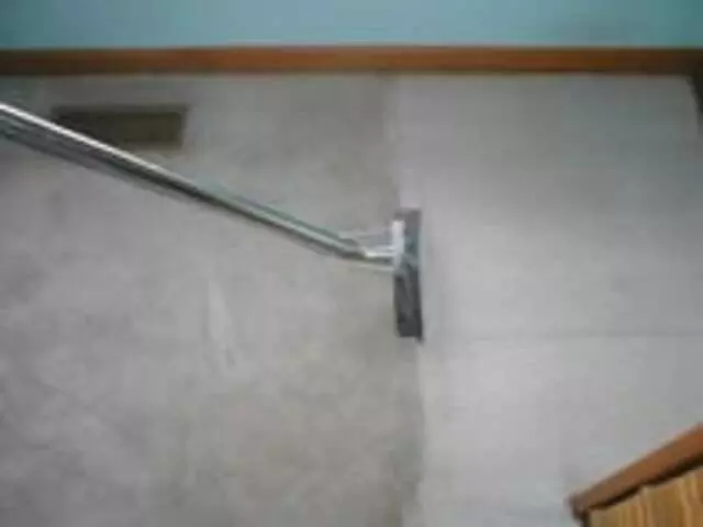 6.95 Carpet Cleaner