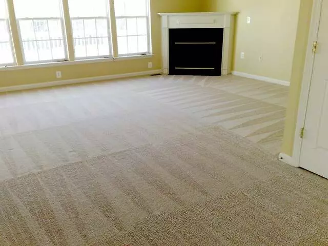 6.95 Carpet Cleaner