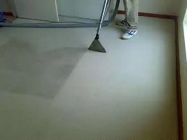 6.95 Carpet Cleaner
