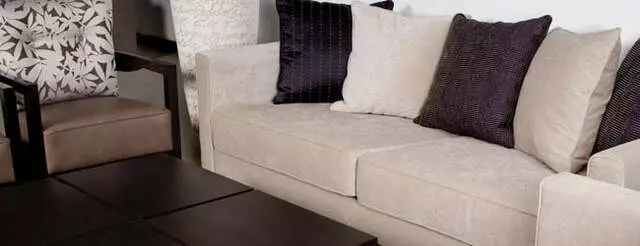 6.95 Carpet Cleaner