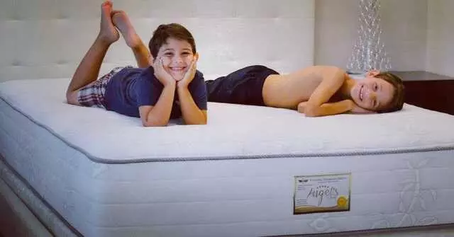 Powermag Therapeutic Mattress