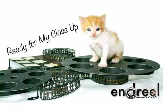 Endreel Productions, Inc.