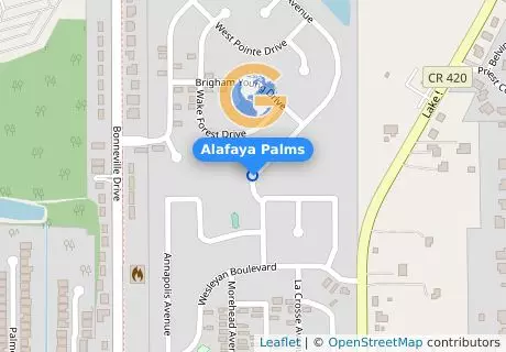 Alafaya Palms