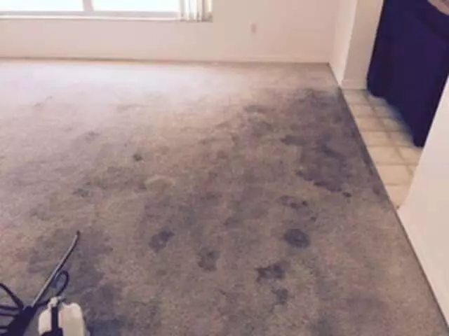 All Pro Janitorial Services