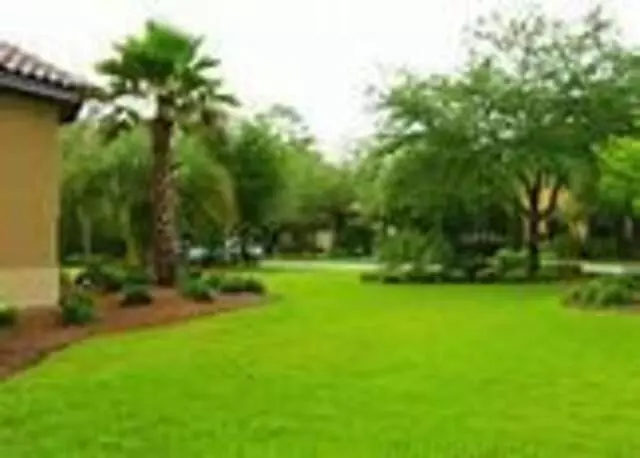 Avalon Mowing