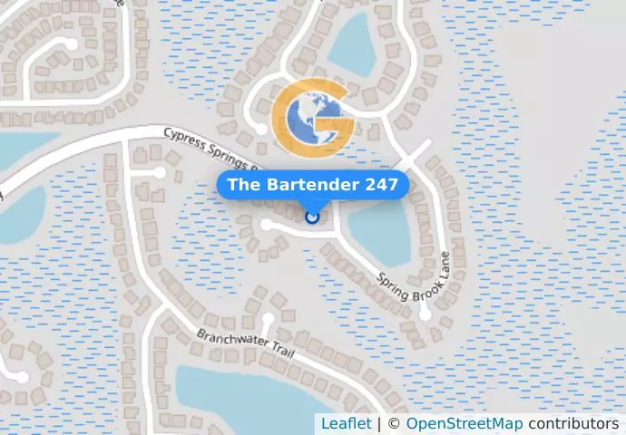 The Bartender 247