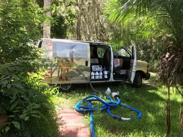 Sahara Carpet Care