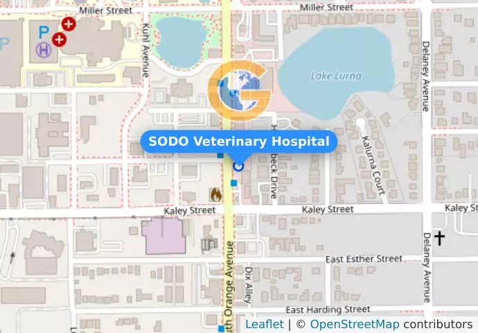 SODO Veterinary Hospital
