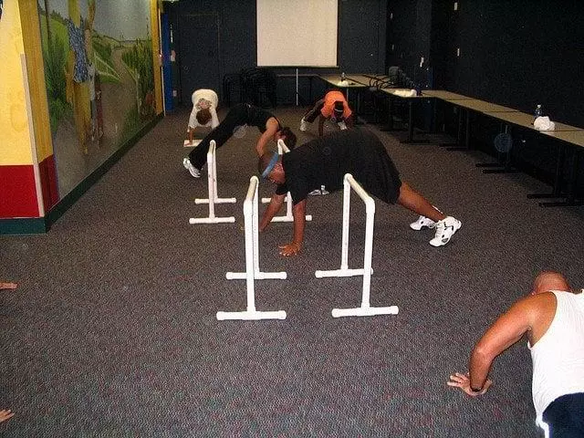 Metabolic Wellness & Performance Systems