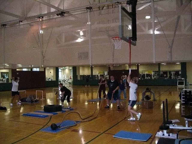 Metabolic Wellness & Performance Systems
