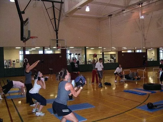 Metabolic Wellness & Performance Systems