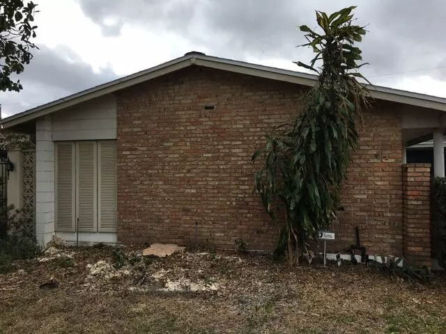 Competitive Tree Services