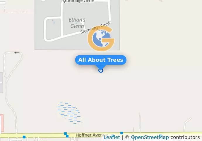 All About Trees