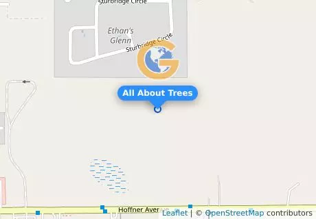 All About Trees