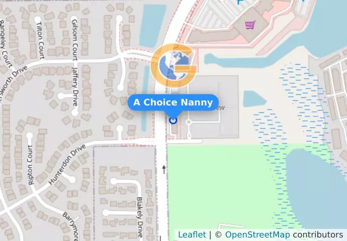 A Choice Nanny