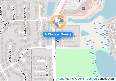 A Choice Nanny