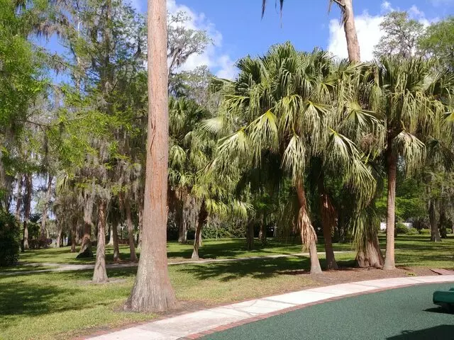 Cypress Grove Park
