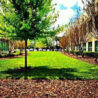 Loews Lakewood Support Center