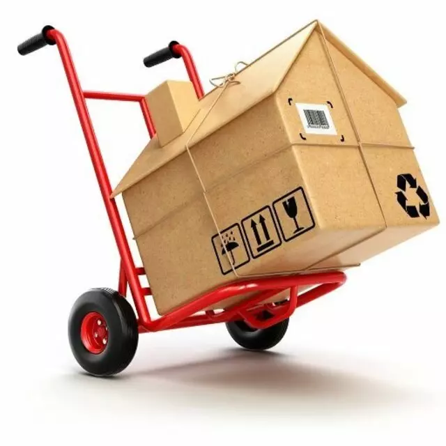 Florida Moving and Delivery