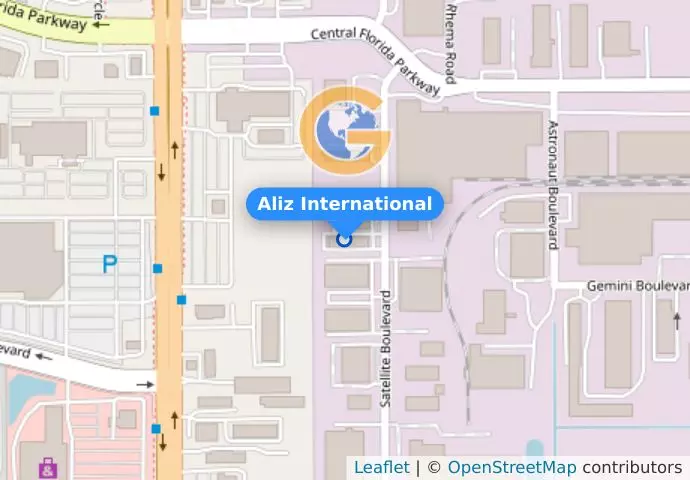 Aliz International