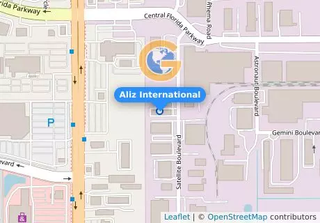 Aliz International