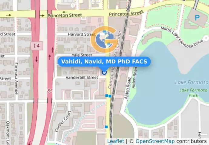Vahidi, Navid, MD PhD FACS