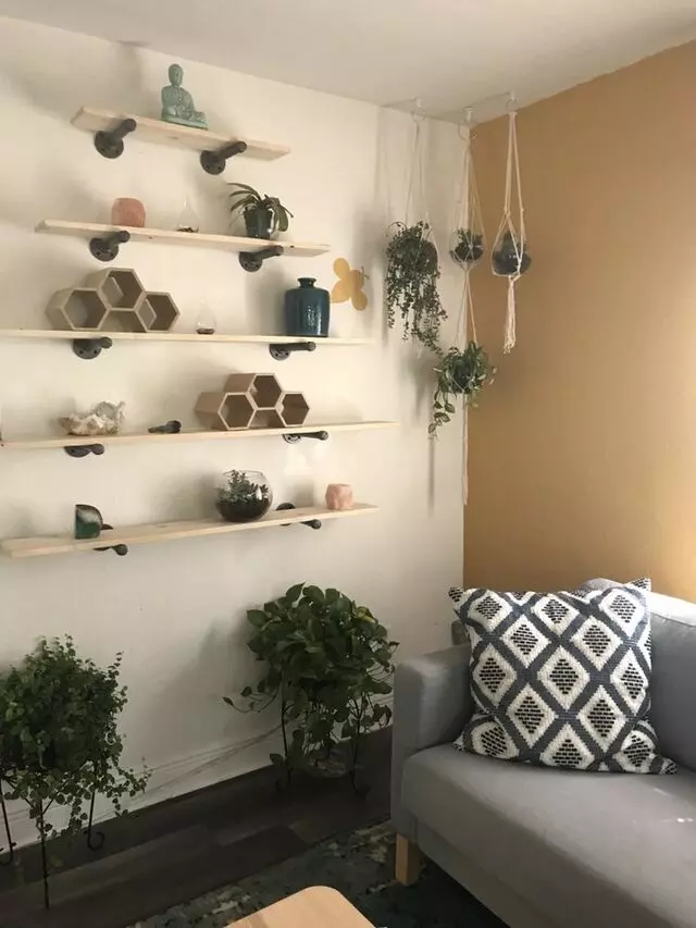 Apiary Wellness