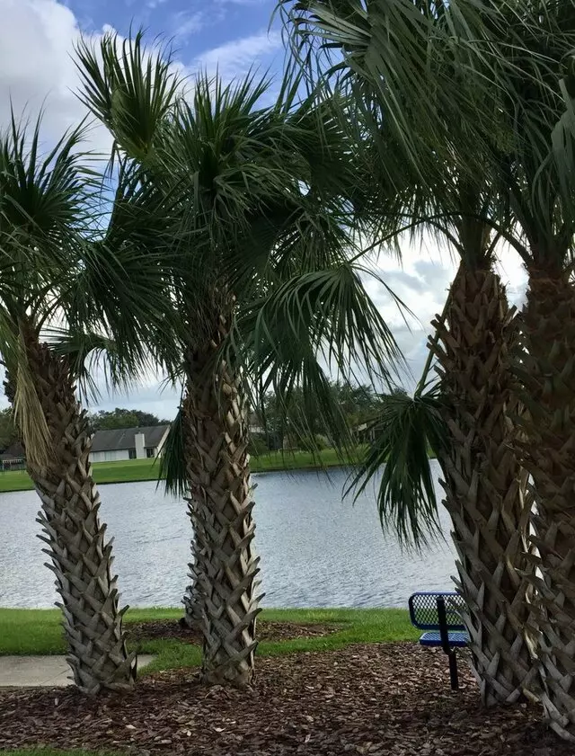 Waterford Lakes Community Association