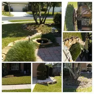 Best Landscape Services