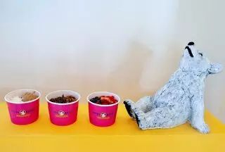 Kool Bear Refreshers
