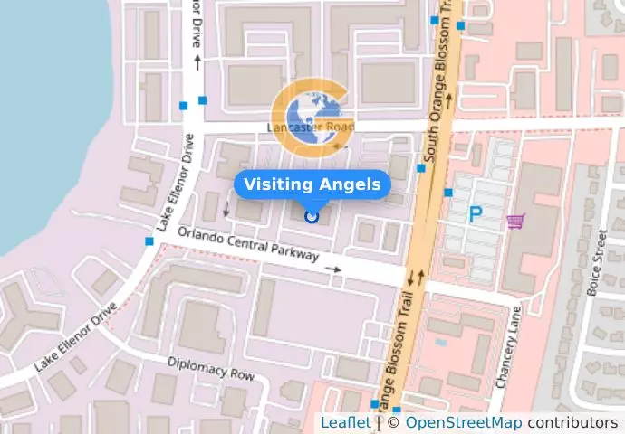 Visiting Angels
