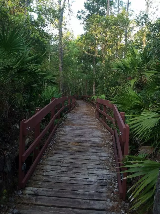 UCF Arboretum