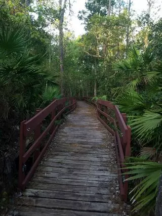 UCF Arboretum