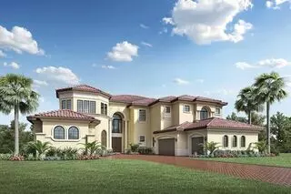 Nelson Realtor