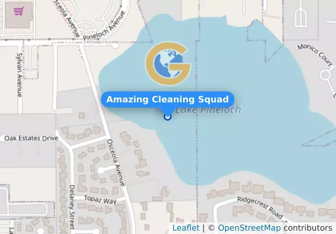 Amazing Cleaning Squad