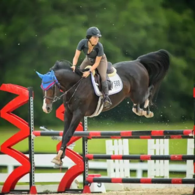 Cyr Point Stable