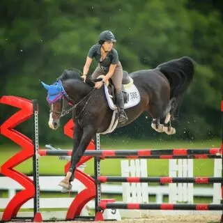 Cyr Point Stable