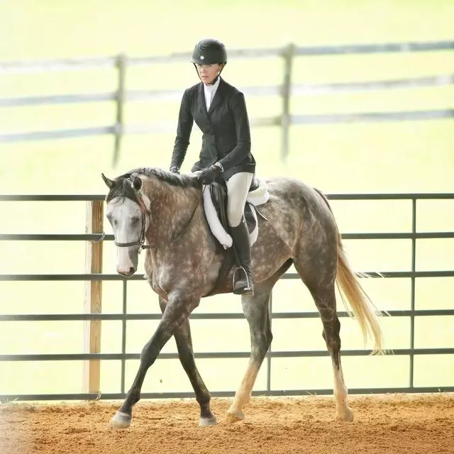 Cyr Point Stable