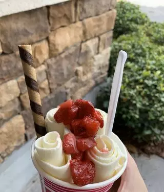 Rolled Ice Cream