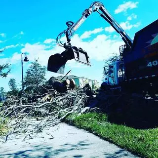 Amazônia Tree Services