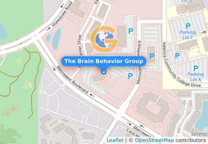 The Brain Behavior Group