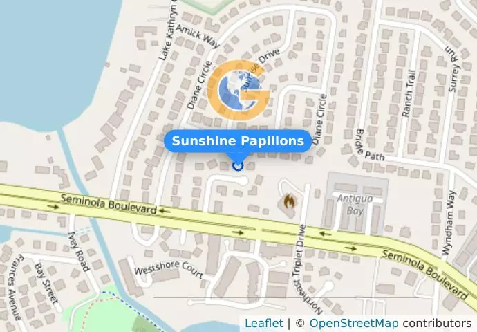 Sunshine Papillons