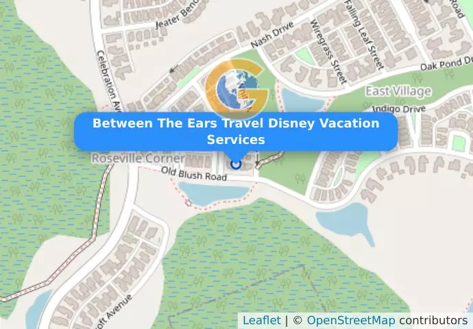 Between The Ears Travel Disney Vacation Services