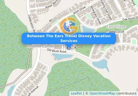 Between The Ears Travel Disney Vacation Services