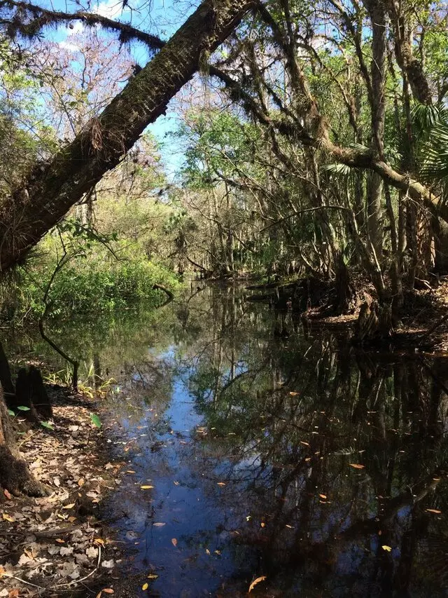 Tosohatchee State Reserve