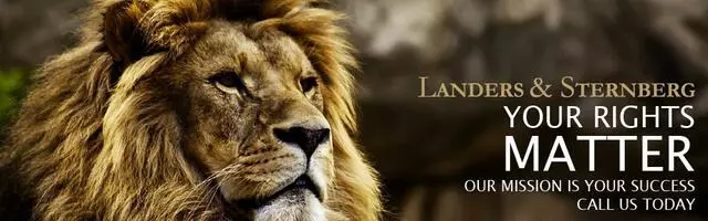 Landers & Sternberg PLLC